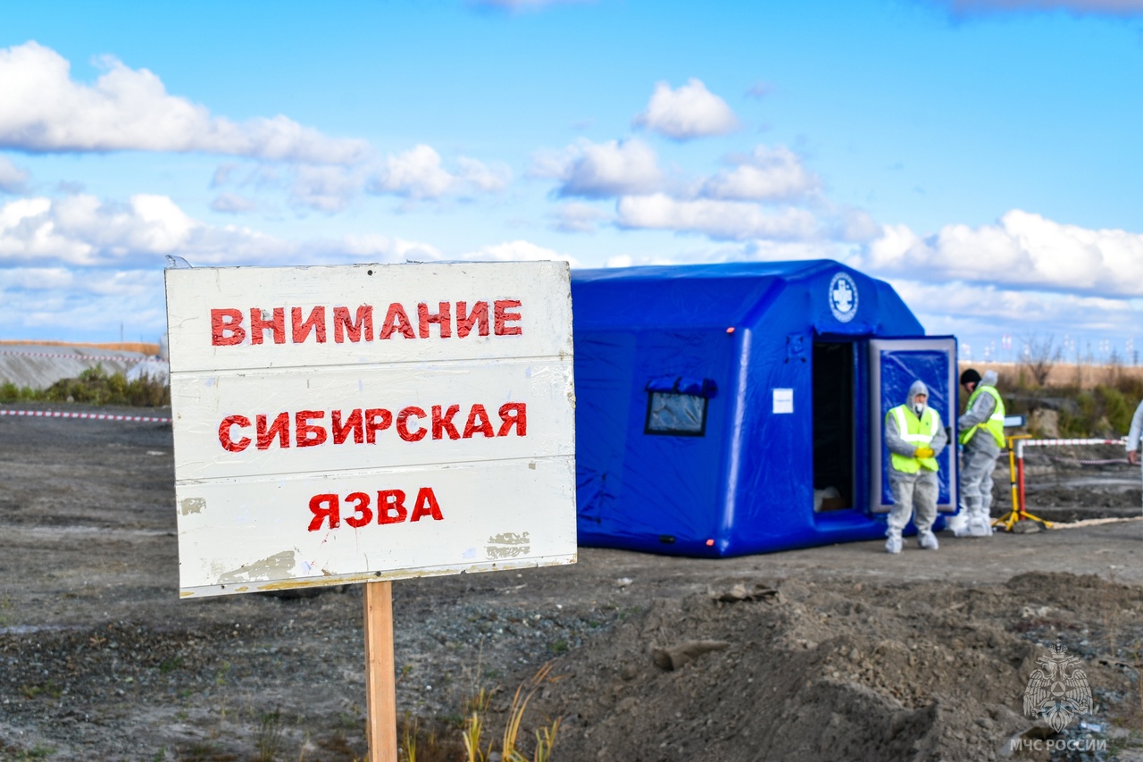 Пожарные Ханты-Мансийска «ликвидировали» вспышку сибирской язвы
