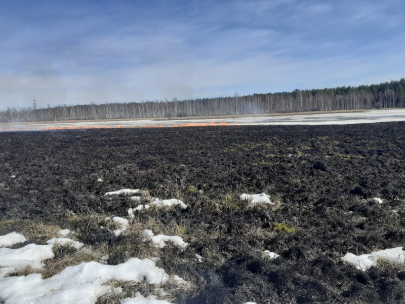 В Кондинском районе Югры зарегистрирован первый в этом году лесной пожар