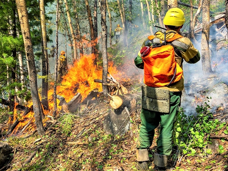 В лесах Югры потушили три пожара. Причина – неосторожное обращение с огнем