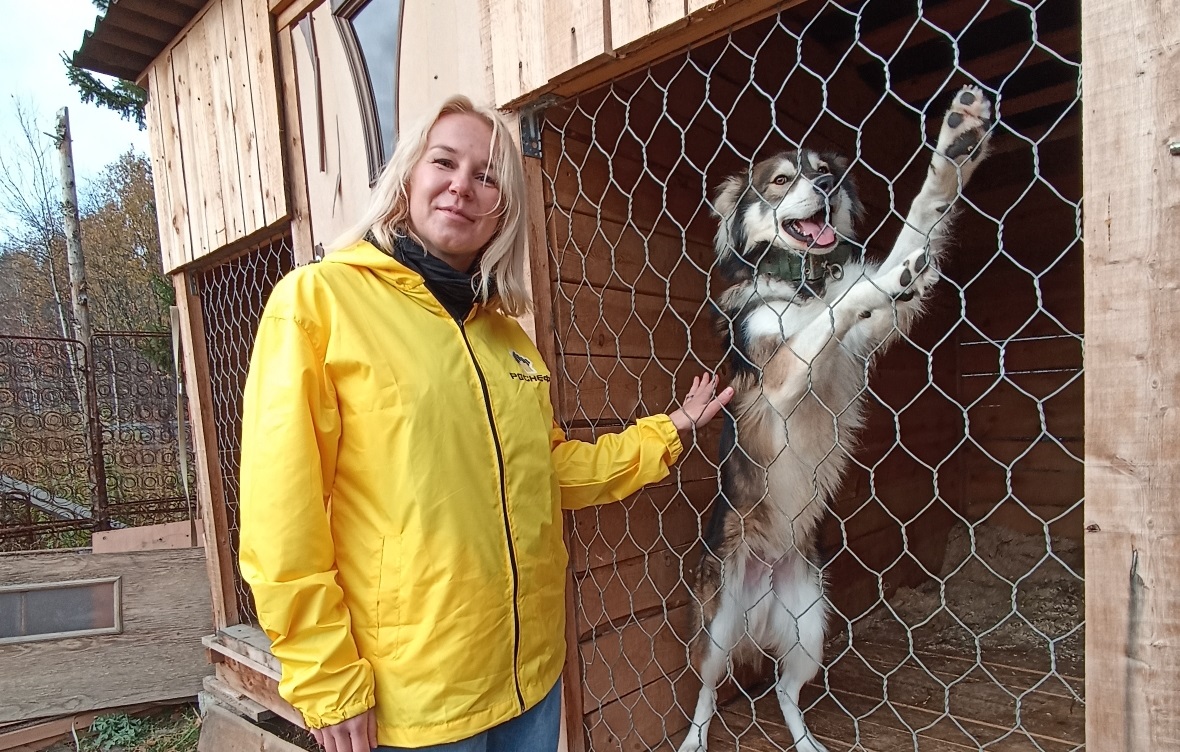 Волонтеры «Конданефти» помогли бездомным животным Ханты-Мансийска