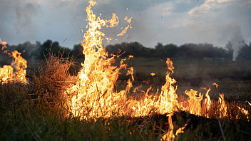 Виновнику лесного пожара в Кондинском районе вынесен приговор