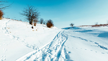 В Югре ограничили движению по зимнику из-за повышенных температур 