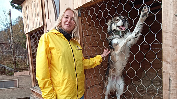 Волонтеры «Конданефти» помогли бездомным животным Ханты-Мансийска