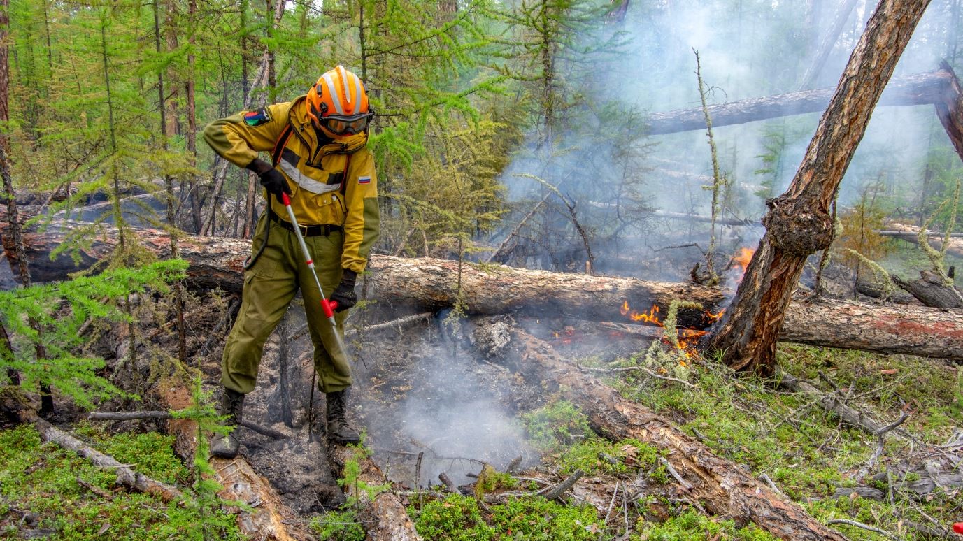 Огнеборцы Югры помогают тушить лес в Красноярском крае