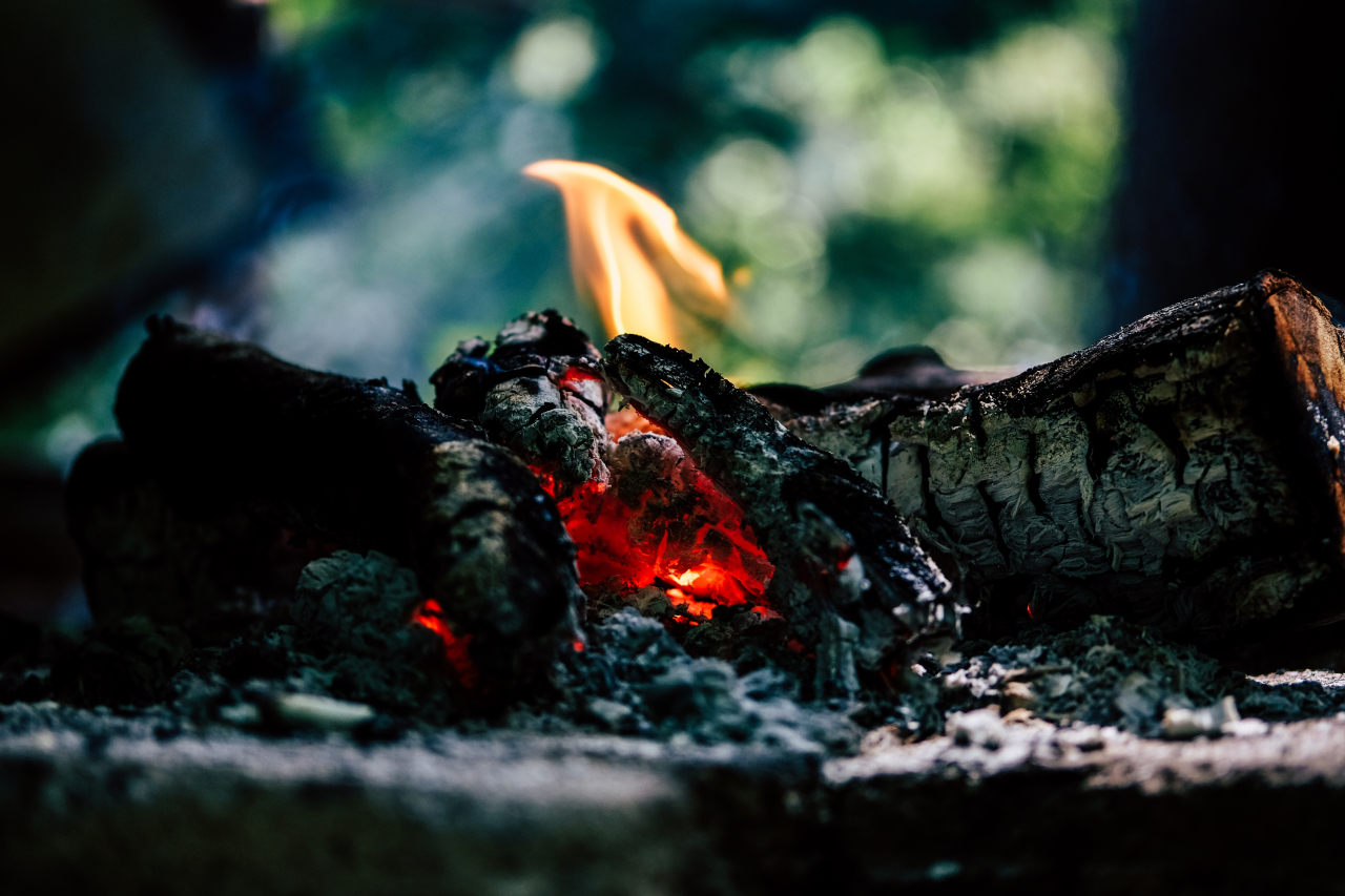 С начала сезона в Югре ликвидировано 130 лесных пожаров