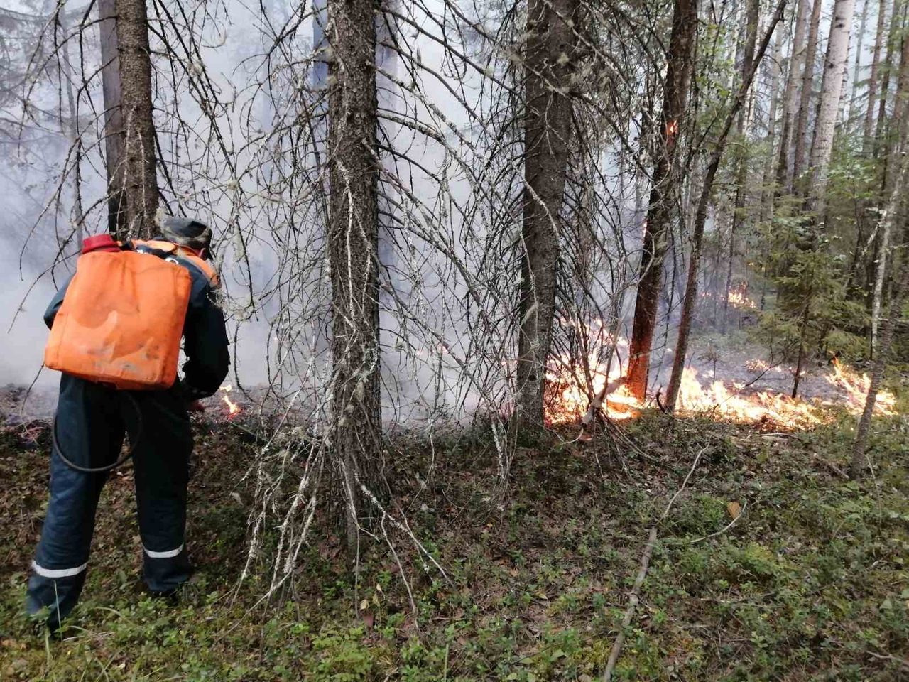 В Югре тушат 7 лесных пожаров