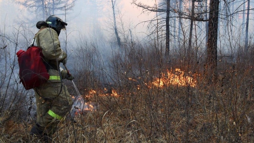 Лесные пожары в Югре тушат в первые сутки