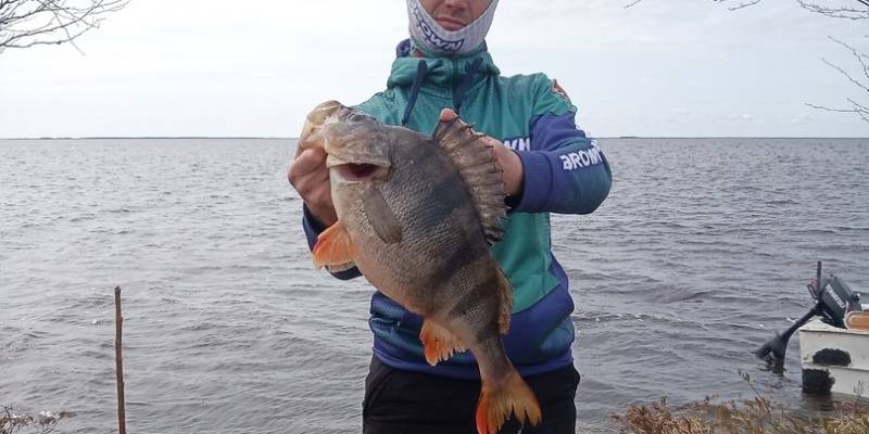 Рыбак из Междуреченского поймал и отпустил щуку весом в 9 кг