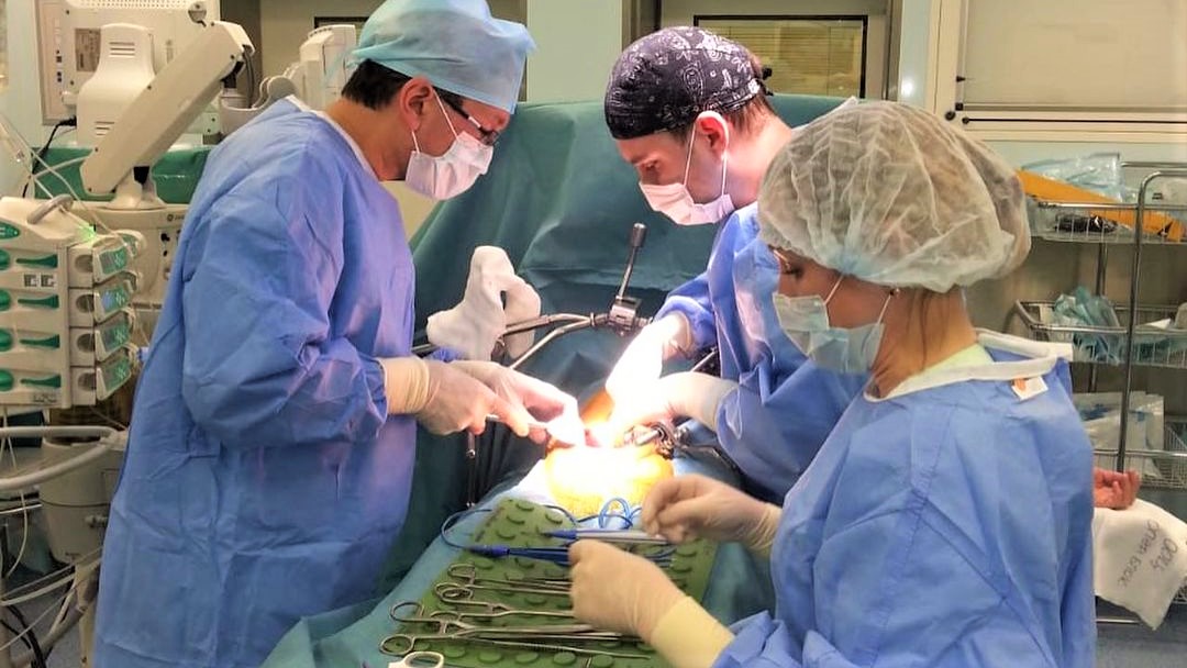 Трансплантологи Ханты-Мансийска пересадили 50-ую почку