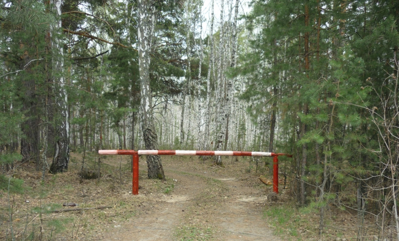 В школах Ханты-Мансийска появится «Лесной дозор»