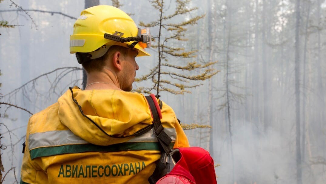 В Югре с начала сезона огнеборцы потушили пять лесных пожаров 