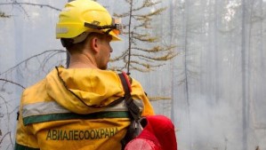 В Югре продолжают тушить лесные пожары