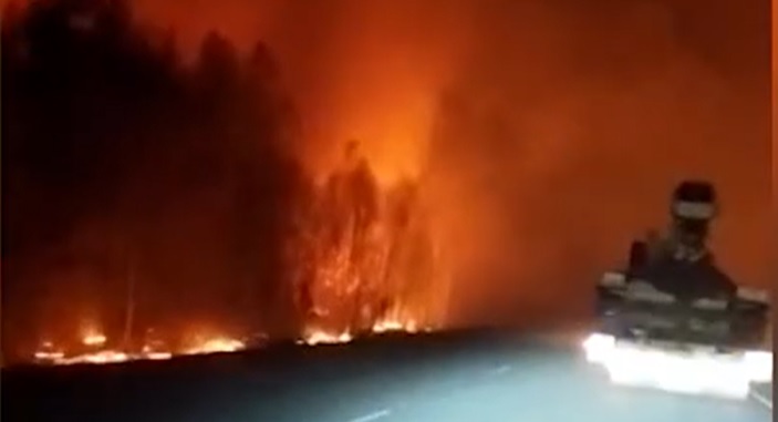 Лесные пожарные Югры помогают тушить возгорания в Курганской области