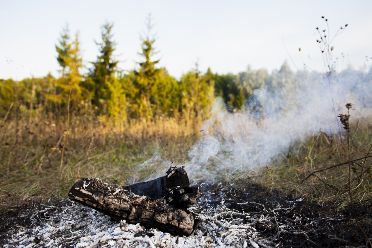С начала опасного сезона в Югре ликвидировали 416 лесных пожаров