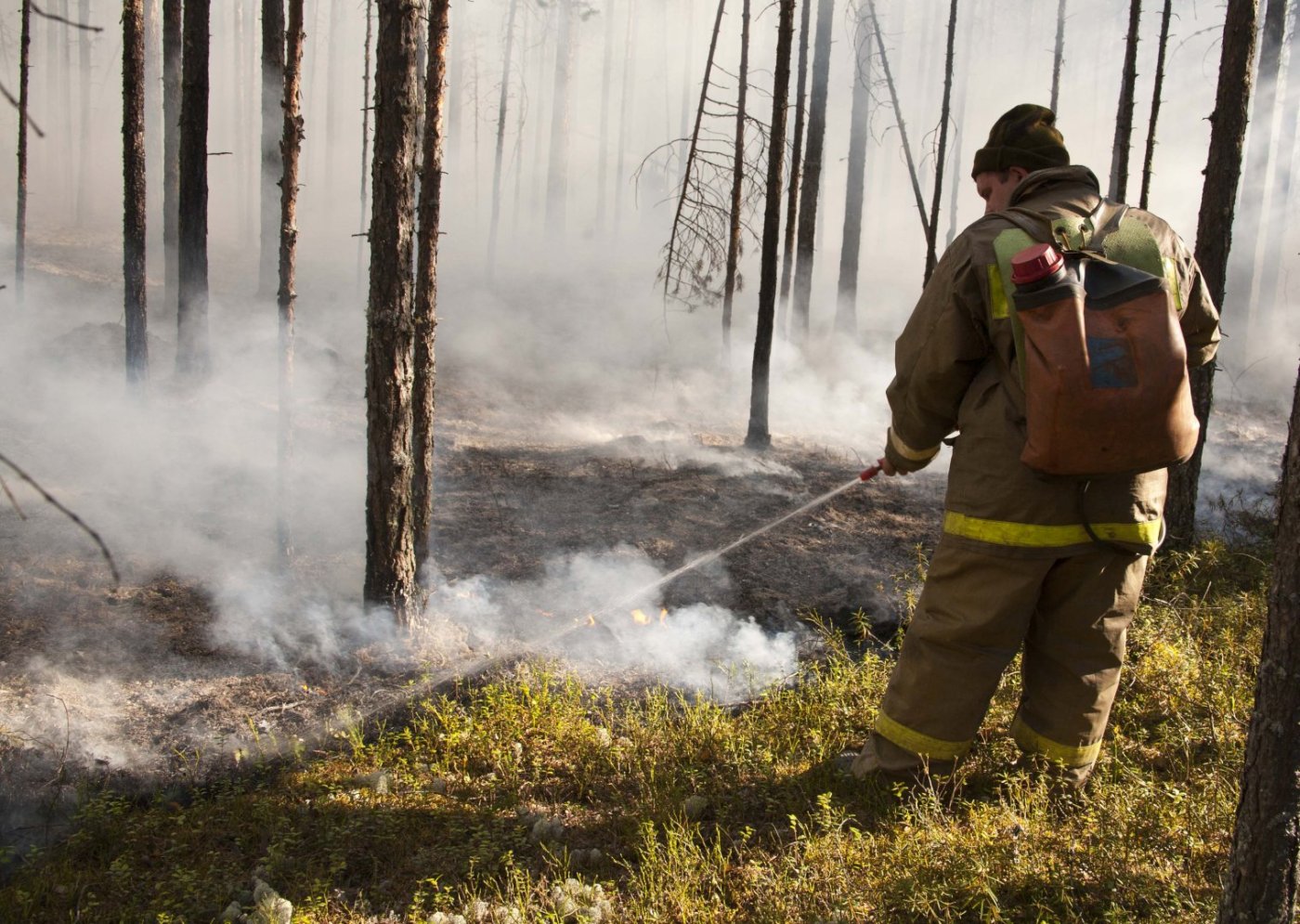 Площадь лесных пожаров в Югре увеличилась до 20 тысяч гектаров