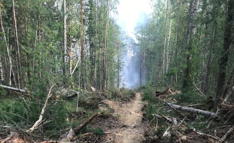 До 90 % лесных пожаров в Югре возникают из-за гроз 