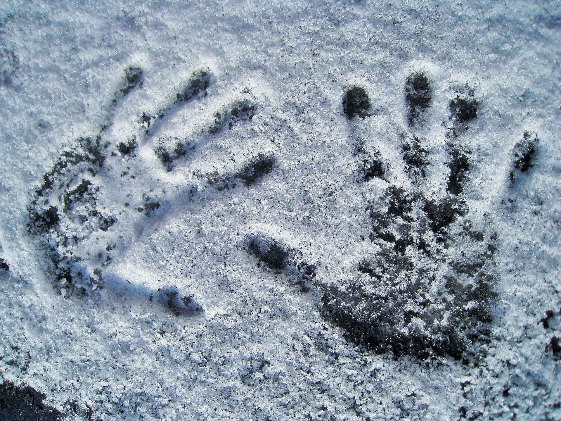 Для участников форума «УТРО» в Ханты-Мансийске расконсервируют снег