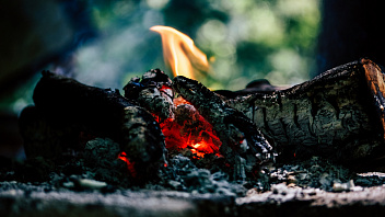 С начала сезона в Югре ликвидировано 130 лесных пожаров