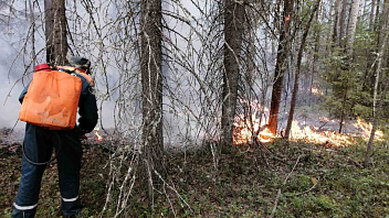 Огнеборцы Югры тушат 1 лесной пожар 