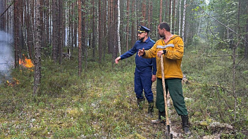 Ситуацию с лесными пожарами в Советском районе взяла на контроль прокуратура