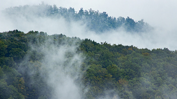 С начала сезона в Югре ликвидировано 176 лесных пожаров