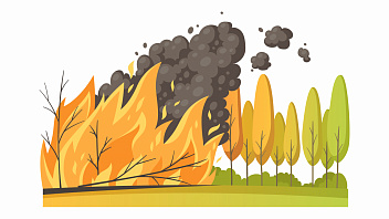 С начала пожароопасного сезона в Югре ликвидировали 66 лесных возгораний