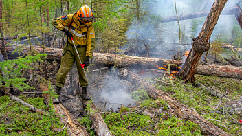 Количество лесных пожаров в Югре увеличилось до 48