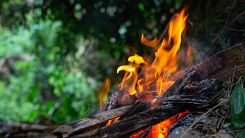 В Югре действуют 27 лесных пожаров