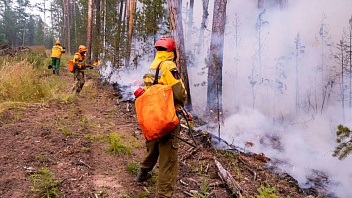 С начала пожароопасного сезона югорские огнеборцы ликвидировали 95 лесных возгораний