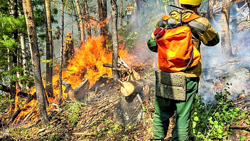 В лесах Югры потушили три пожара. Причина – неосторожное обращение с огнем