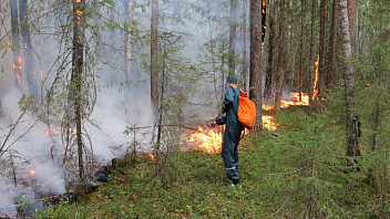 Минус 27 лесных пожаров в Югре