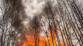 Ведром и лопатой ханты сам потушил пожар в лесу Сургутского района