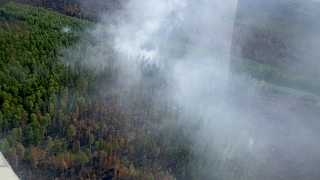 В Югре с начала сезона потушили 382 лесных пожара